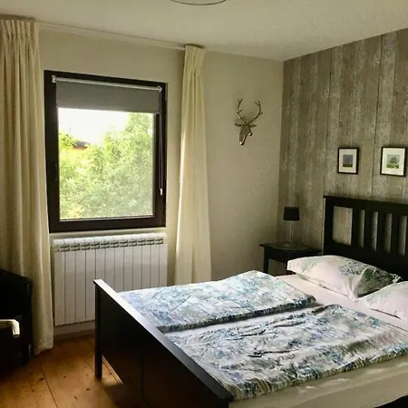 Ferienhaus Hisa Smast